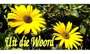 Ek Verlang Nou Huis Toe